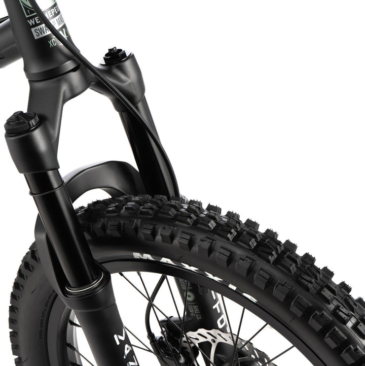 Wethepeople Swampmaster BMX Bike