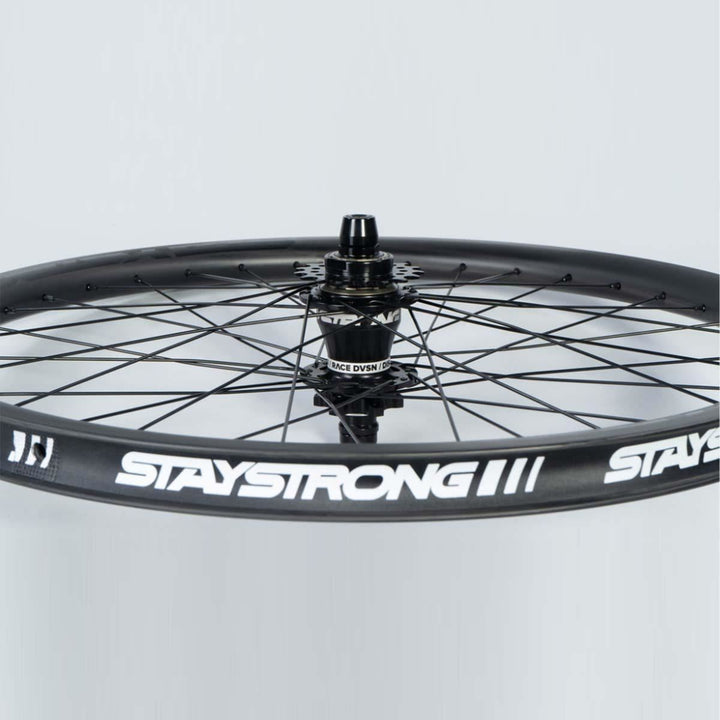 Stay Strong Carbon 24" Disc 1.75" Wheelset