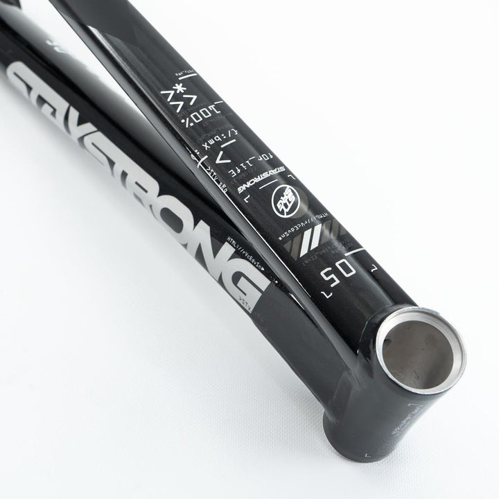 Stay Strong For Life V5 Mini Frame 2025