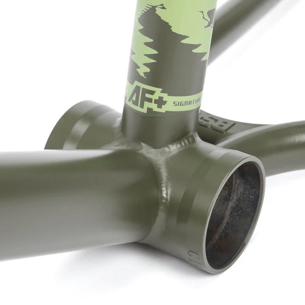 BSD ALVX AF 2022 Frame