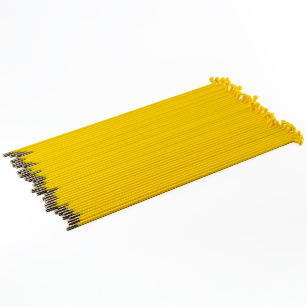 Raggi Source Stainless (confezione da 40) - Giallo