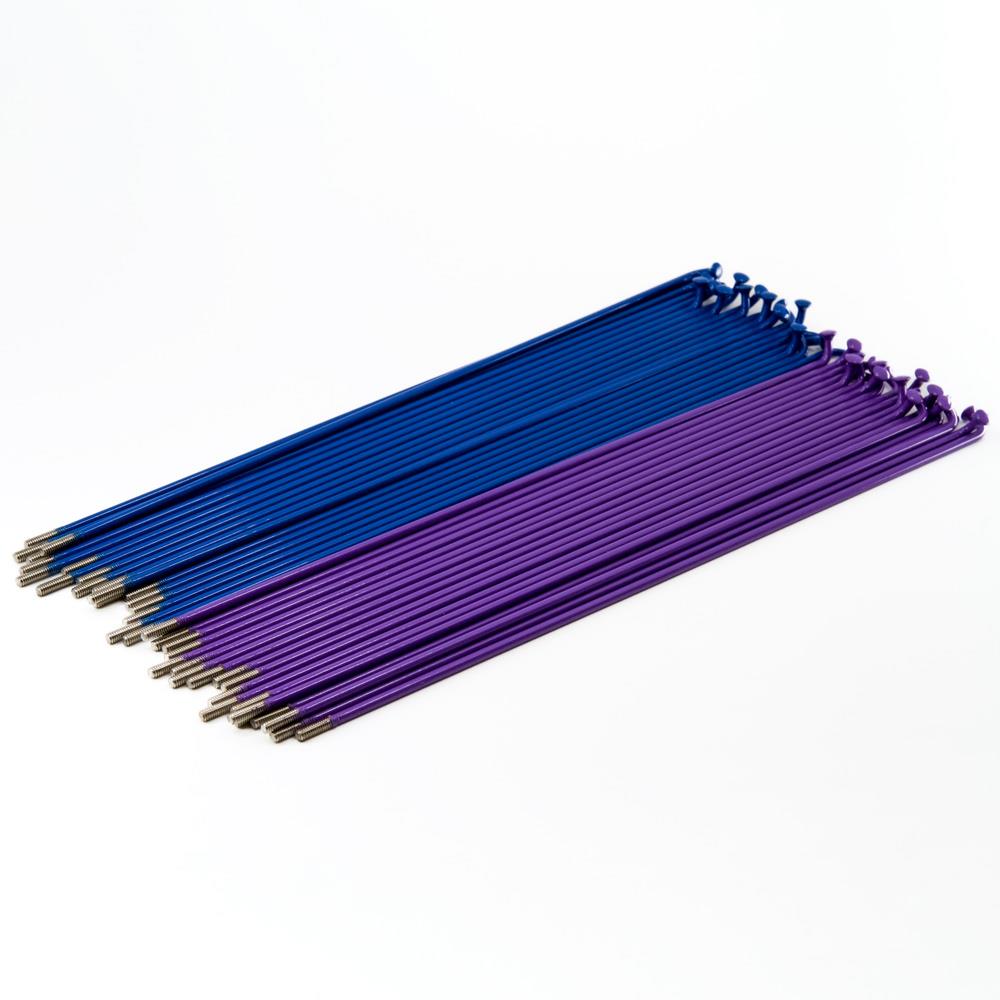 Source Spokes (Pattern 50 50) - Bleu/Pourpre