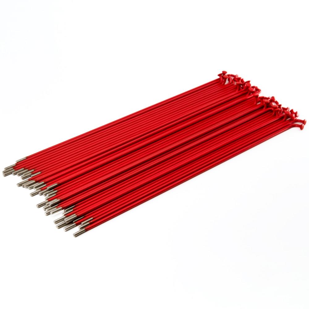 Raggi Source Stainless (confezione da 40) - Rosso