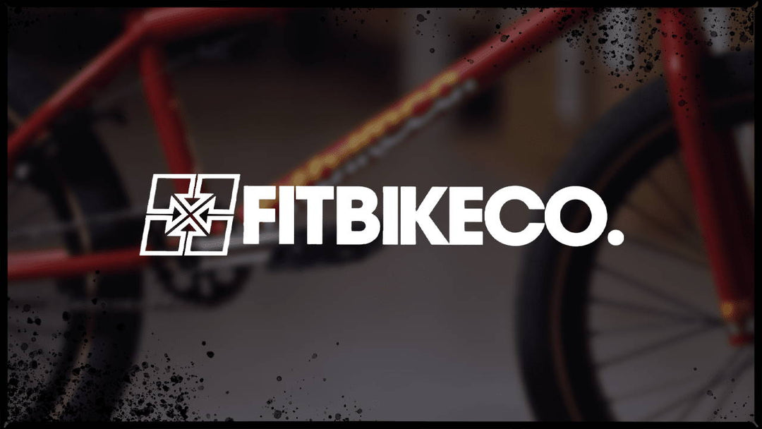 Fit 2023 Completes Product Insight