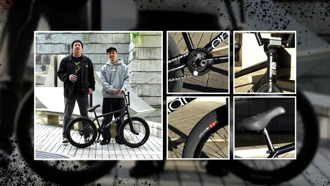 PEGY Bike Check
