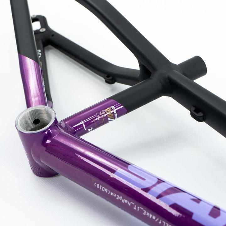 Stay Strong For Life V5 Expert XL Rahmen 2025
