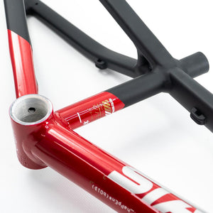 Stay Strong For Life V5 Cruiser Expert XL Frame 2025