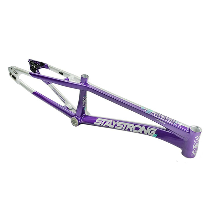 Stay Strong For Life V5.1 Cruiser Expert XL Frame