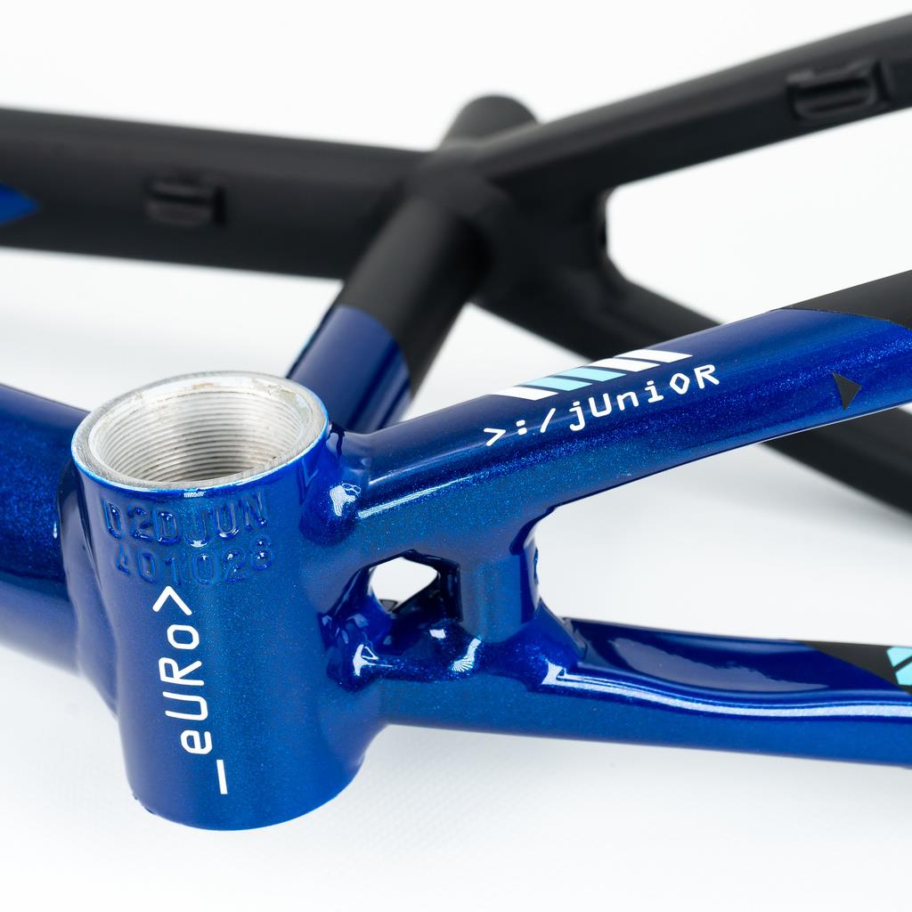 Stay Strong For Life V5 Expert XL Frame 2025