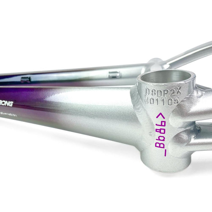Stay Strong For Life 2024 V5 Mini Race Frame - Disc Version