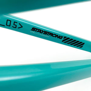 Stay Strong For Life 2024 V5 Expert XL Cuadros de Bicicletas Race BMX - Disco versión