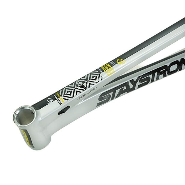 Stay Strong For Life V5.1 Pro XXL Cruiser Frame