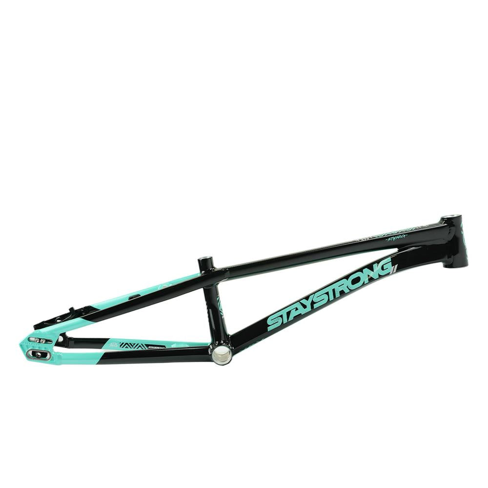 Stay Strong For Life V5.1 Expert Frame