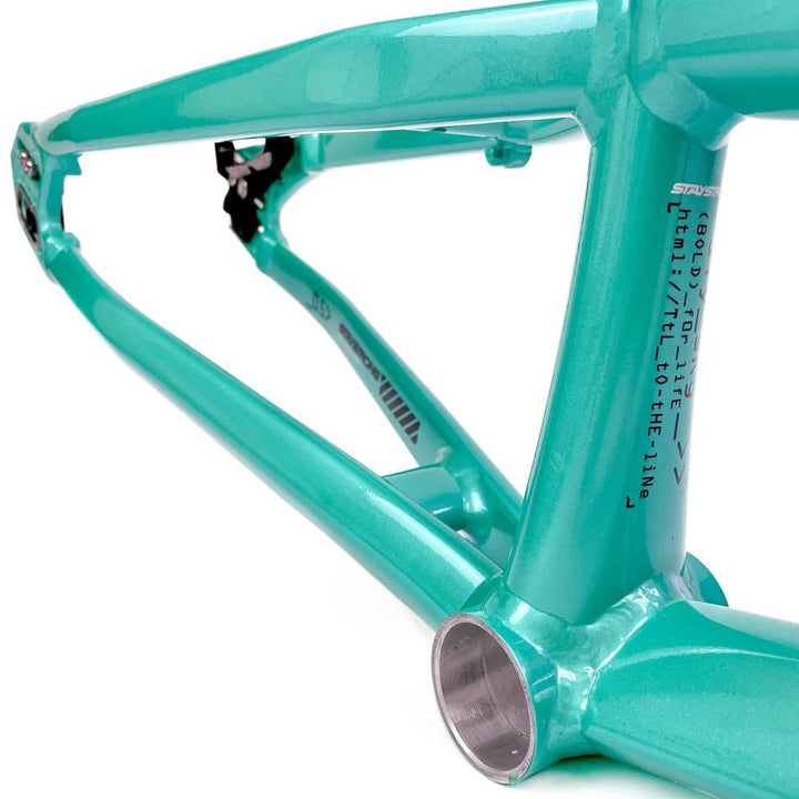 Stay Strong For Life 2024 V5 Mini Race Frame - Disc Version