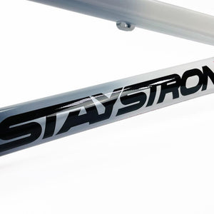 Stay Strong For Life 2024 V5 Junior Cuadros de Bicicletas Race BMX - Disco versión
