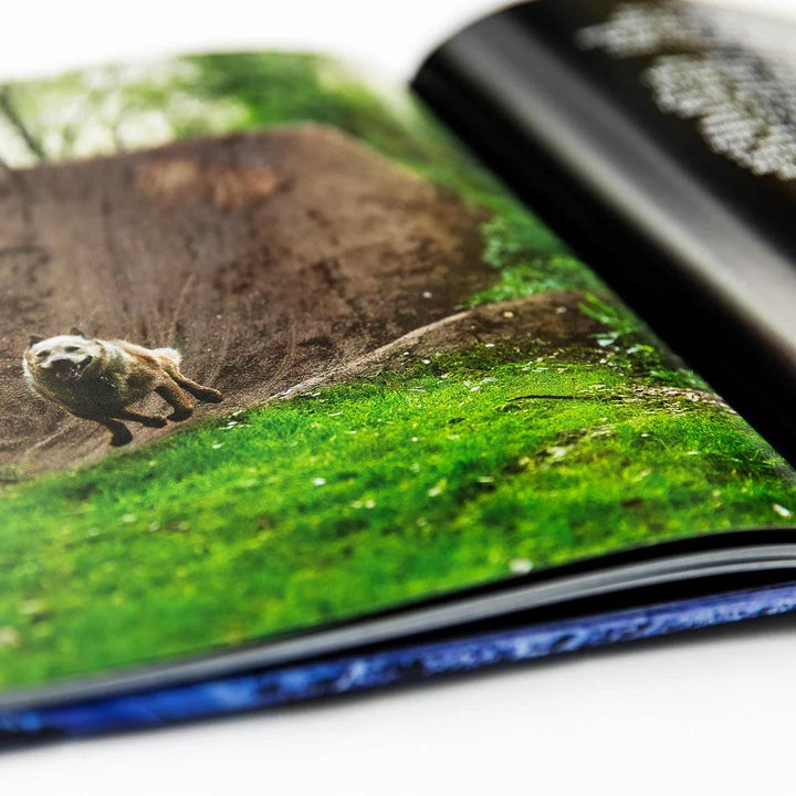 Maintain IV.V - Derailed Book