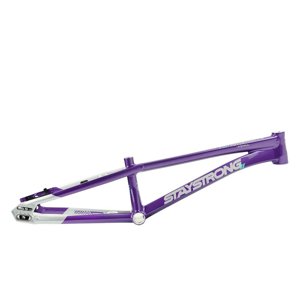 Stay Strong For Life V5.1 Mini Frame
