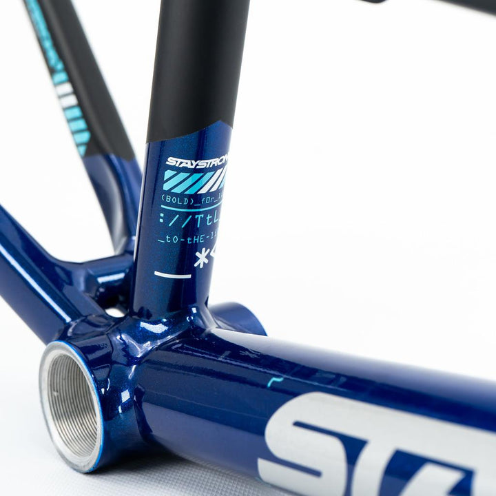 Stay Strong For Life V5 Expert XL Rahmen 2025