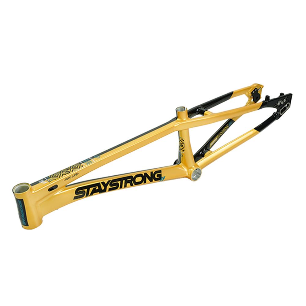 Stay Strong For Life V5.1 Pro Frame