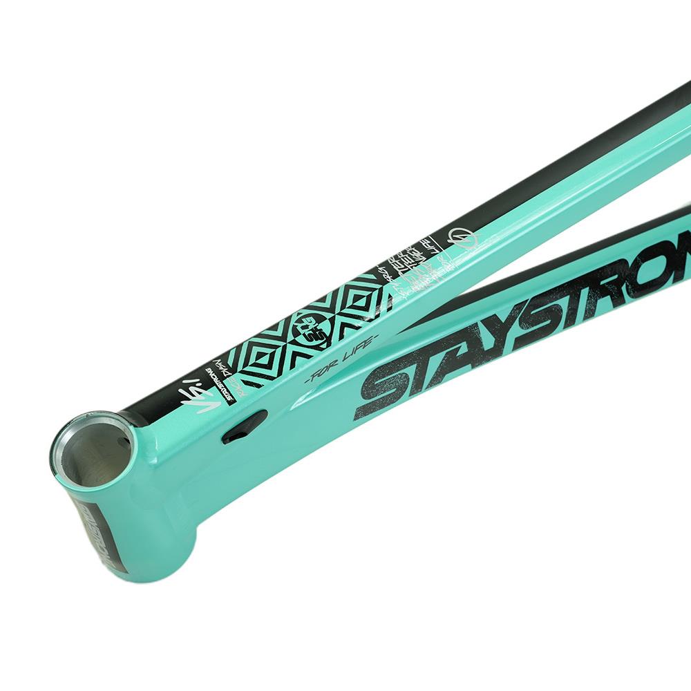 Stay Strong For Life V5.1 Junior Frame