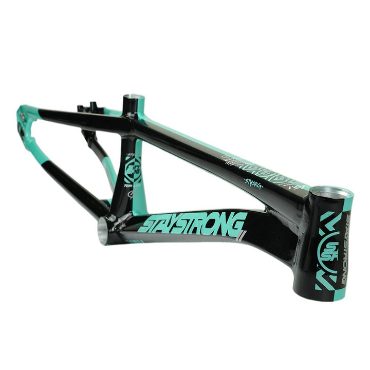 Stay Strong For Life V5.1 Junior Frame