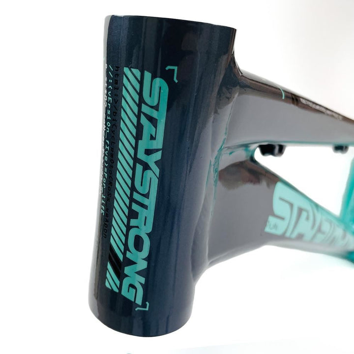 Stay Strong For Life 2024 V5 Cruiser Expert XL Cadre de Course  - Frein Version