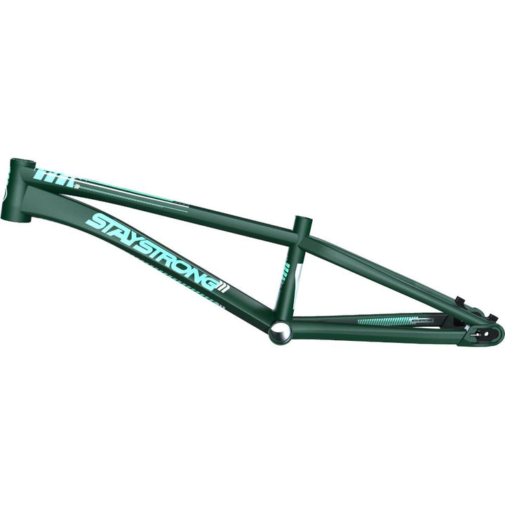 Stay Strong For Life V4 Cruiser Race Frame - Disc Version