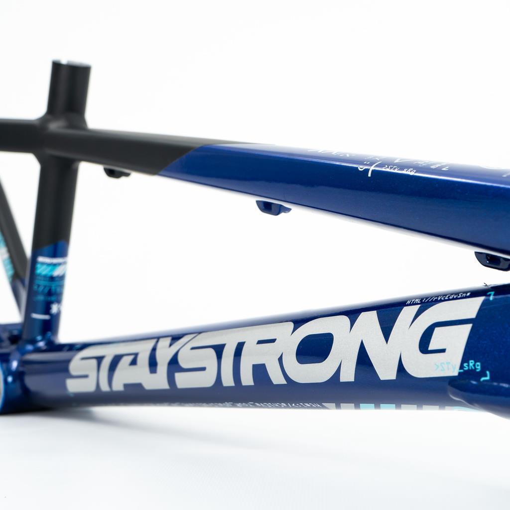 Stay Strong For Life V5 Expert Frame 2025