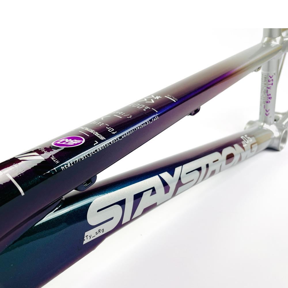 Stay Strong For Life 2024 V5 Cruiser Expert XL Cuadros de Bicicletas Race BMX - Disco Versión