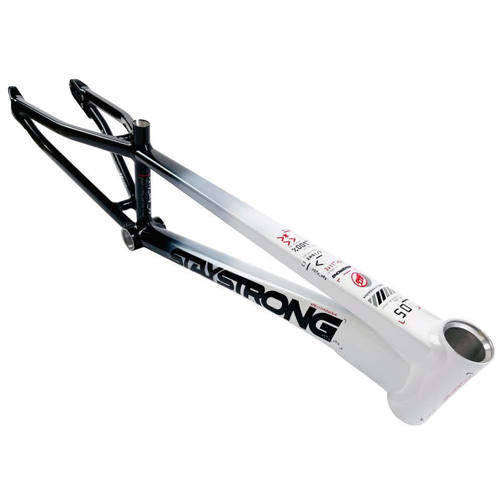Stay Strong For Life 2024 V5 Cruiser Expert XL Cadre de Course  - Frein Version