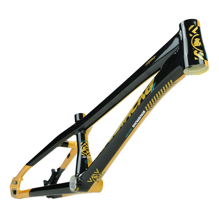 Stay Strong For Life V5.1 Pro Cruiser Frame