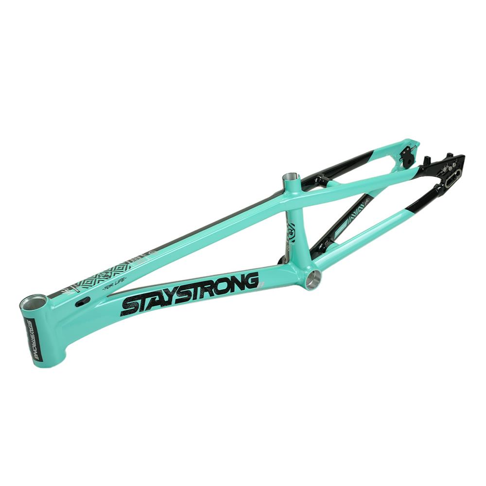 Stay Strong For Life V5.1 Mini Frame