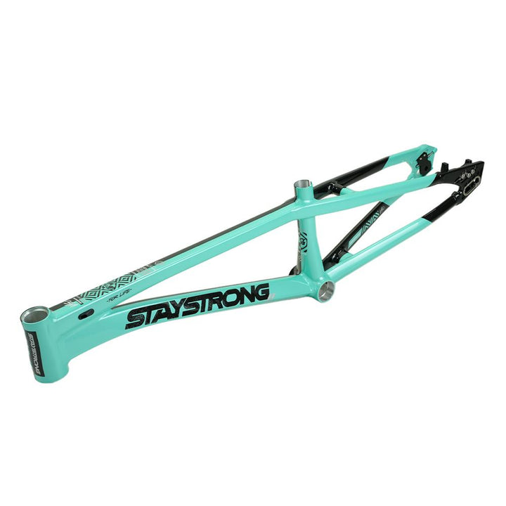 Stay Strong For Life V5.1 Mini Frame