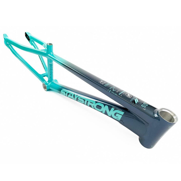 Stay Strong For Life 2024 V5 Cruiser Expert XL Cadre de Course  - Frein Version