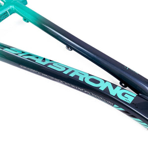 Stay Strong For Life 2024 V5 Pro XXXXL Race Frame - Disc version