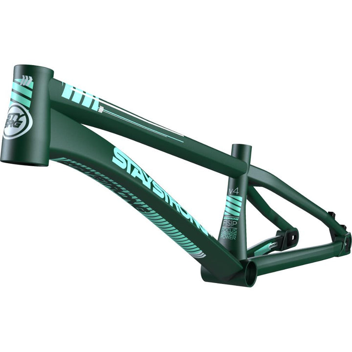Stay Strong For Life V4 Cruiser Race Frame - Disc Version