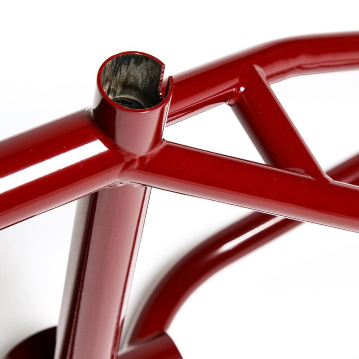 Animal Red Eye Frame