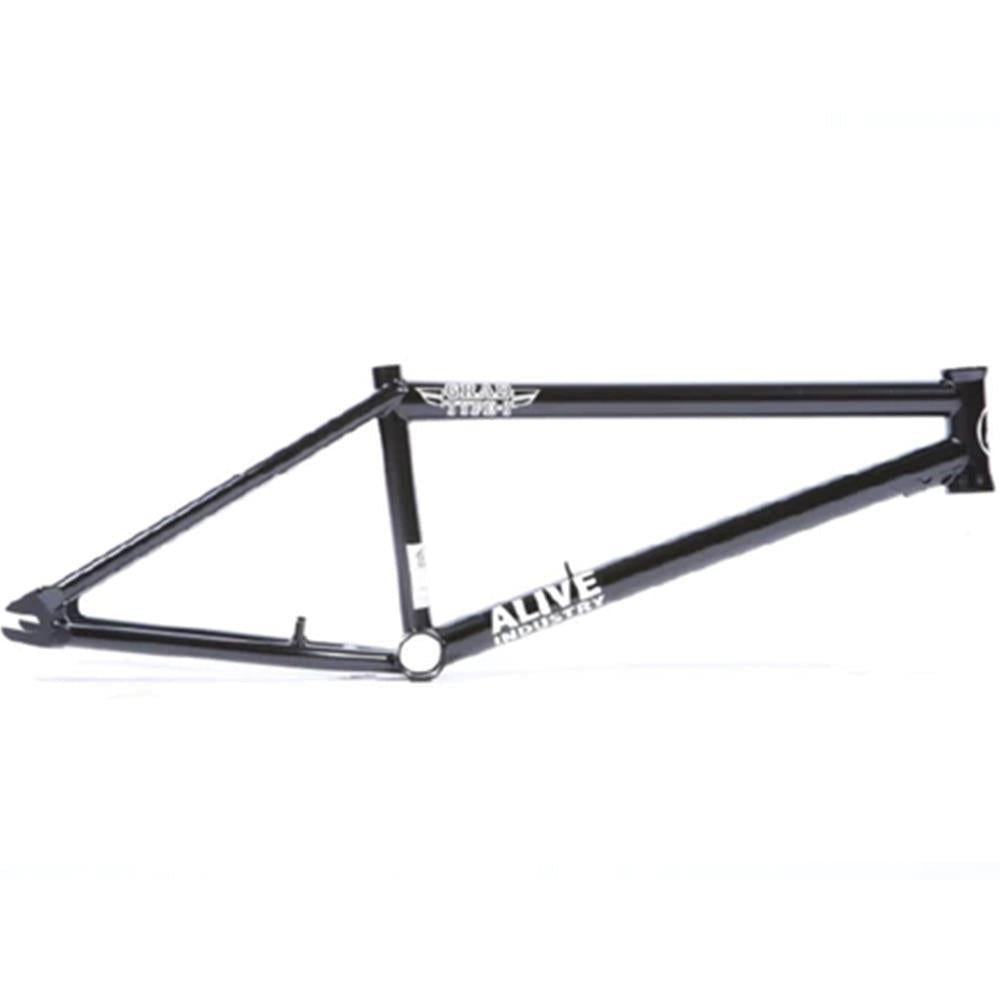 Alive Grad Type 1 Frame (Welded Brake Mounts)