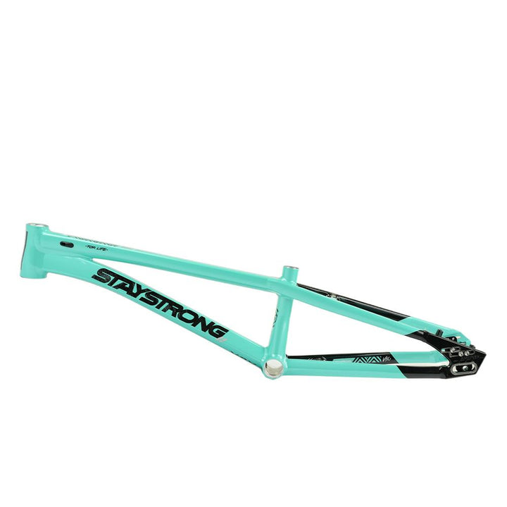 Stay Strong For Life V5.1 Pro Frame