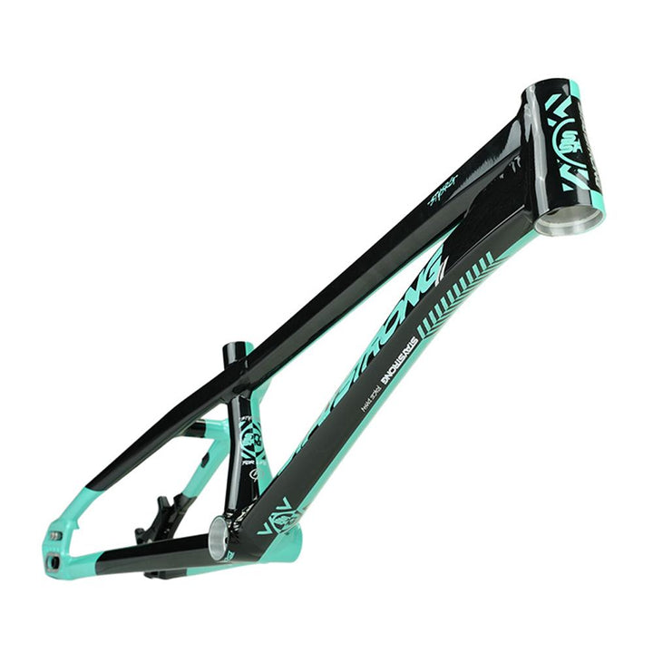 Stay Strong For Life V5.1 Pro Cruiser Frame