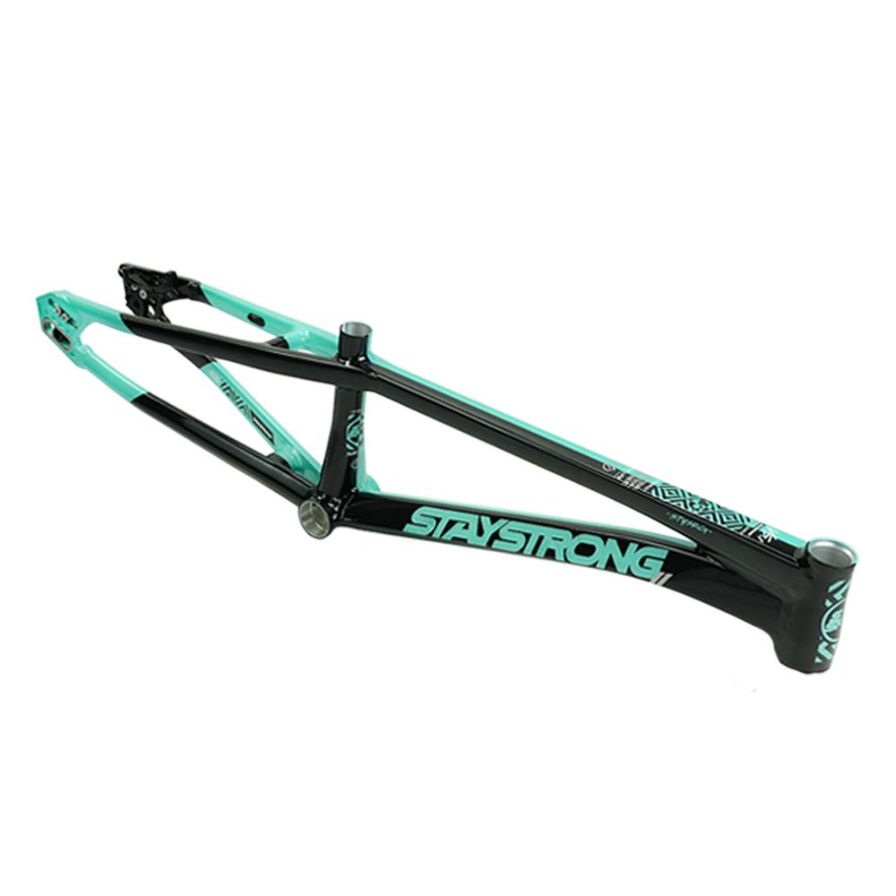 Stay Strong For Life V5.1 Expert XL Frame