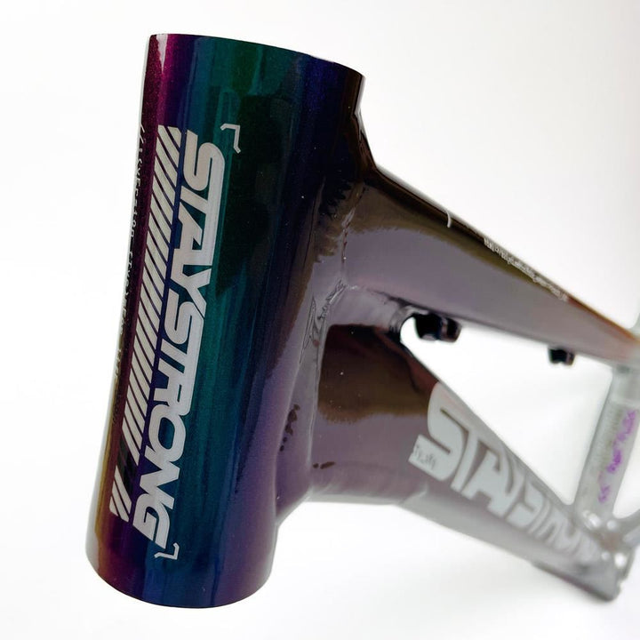 Stay Strong For Life 2024 V5 Cruiser Expert XL Cadre de Course  - Frein Version