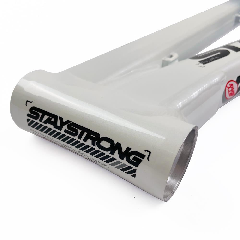 Stay Strong For Life 2024 V5 Expert XL Race Frame - Disc version