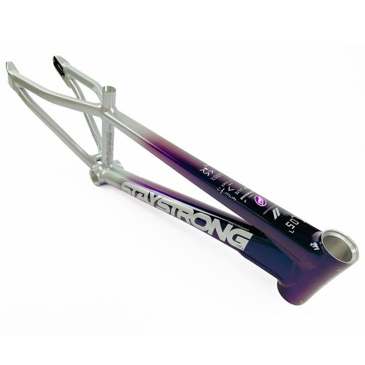 Stay Strong For Life 2024 V5 Cruiser Expert XL Cadre de Course  - Frein Version