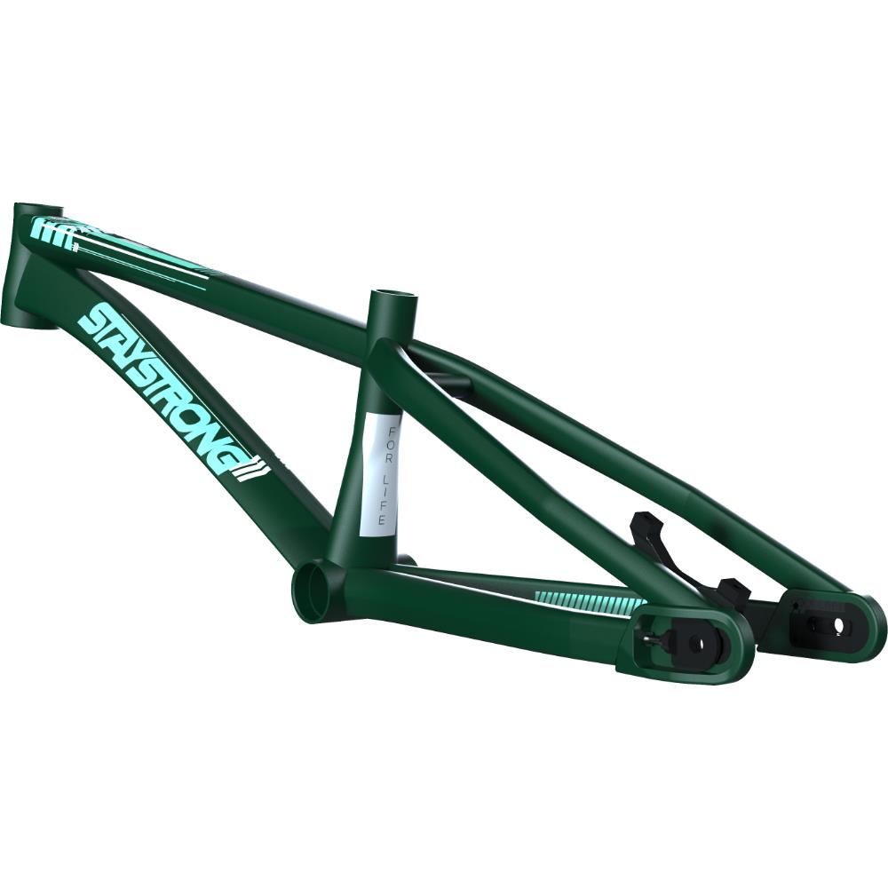 Stay Strong For Life V4 Pro XXXXL Cuadros de Bicicletas Race BMX