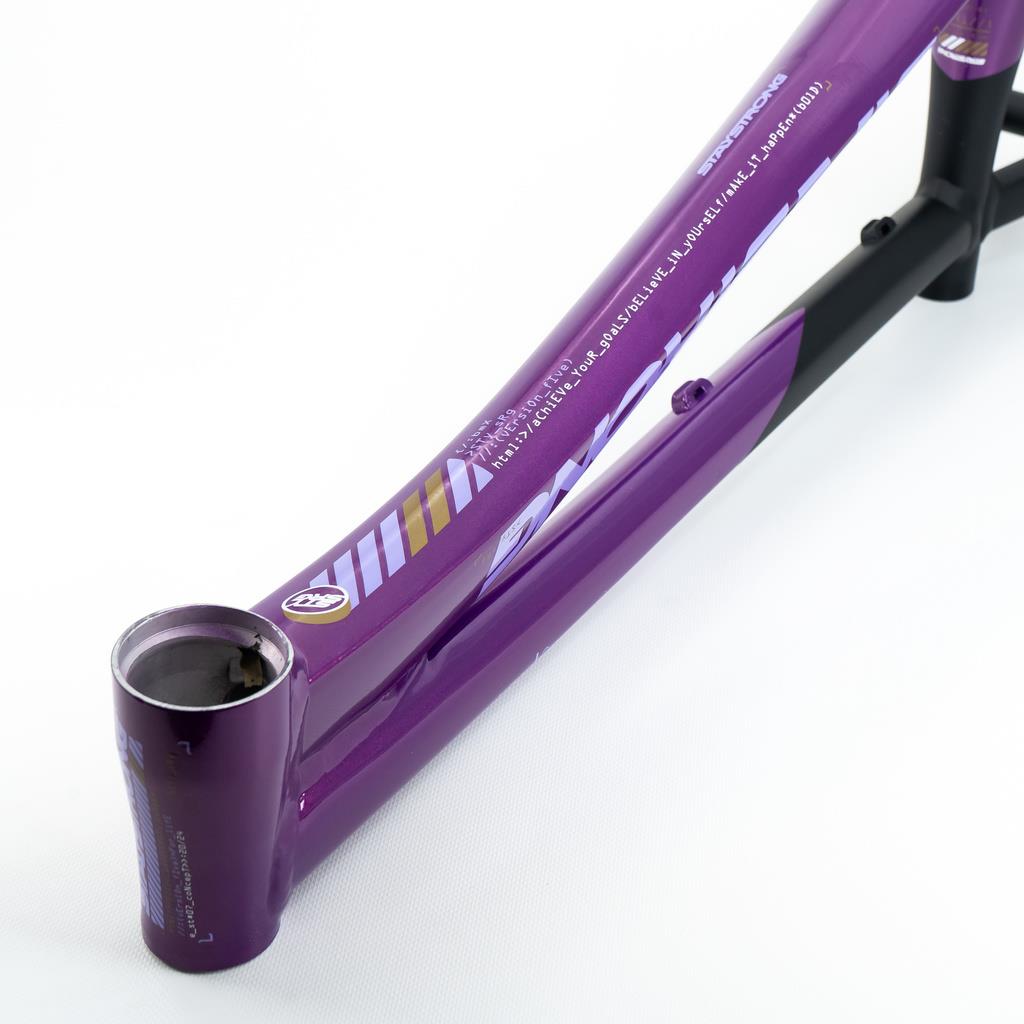 Stay Strong For Life V5 Pro XXL Frame 2025