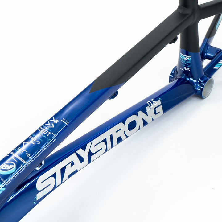 Stay Strong For Life V5 Cruiser Rahmen 2025