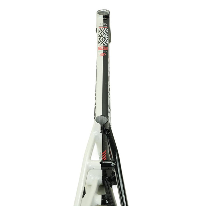 Stay Strong For Life V5.1 Pro Cruiser Frame