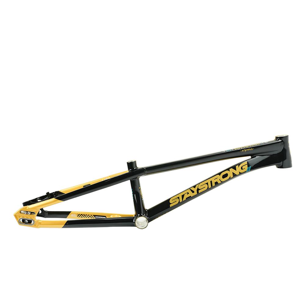 Stay Strong For Life V5.1 Expert Frame