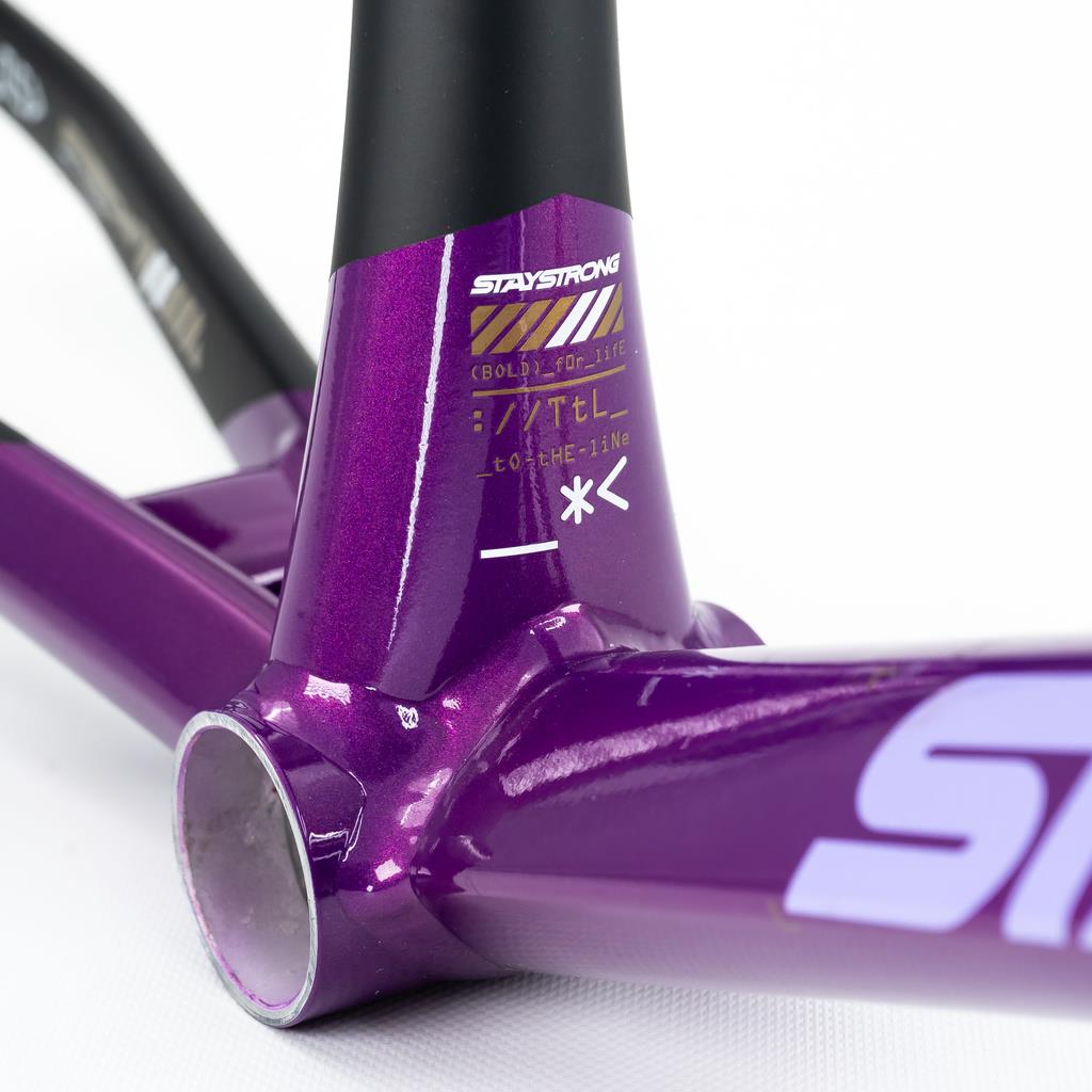 Stay Strong For Life V5 Pro XXL Frame 2025